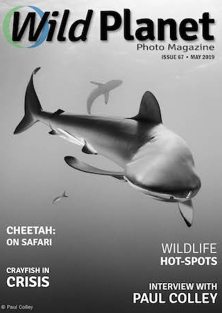 Wild Planet Photo Magazine May 2019 cover