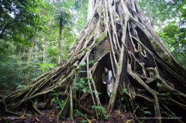 Gabby_Salazar_FNP-1488-