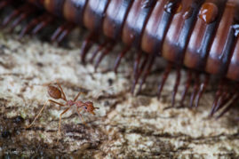 Gabby_Salazar_FNP-5722-