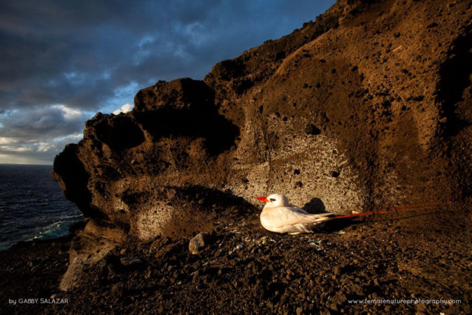 Gabby_Salazar_FNP-6760-