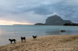 Gabby_Salazar_FNP-8195