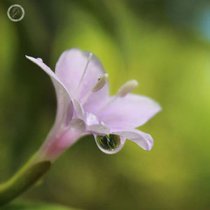 Portfolio carousel 2