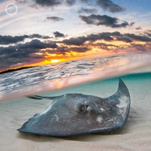 Portfolio carousel 27