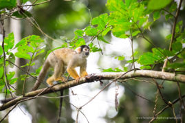 Danielle_Connor_FNP_2