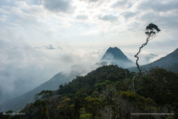 Louise_Jasper_FNP_12