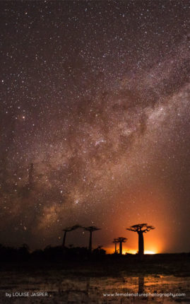 Louise_Jasper_FNP_15