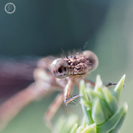 Portfolio carousel 12