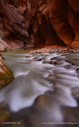 Berengere_Yar_FNP_13