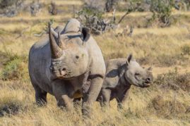 Cathy_WithersClarke_FNP_8