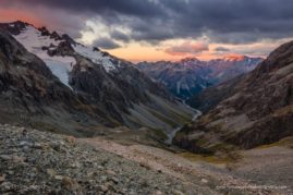 Crystal_Brindle_FNP_13