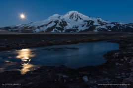 Crystal_Brindle_FNP_14