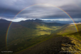 Crystal_Brindle_FNP_15