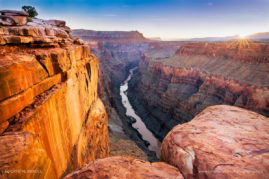 Crystal_Brindle_FNP_2