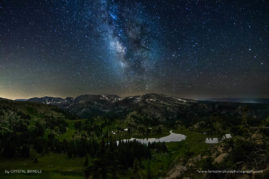 Crystal_Brindle_FNP_5