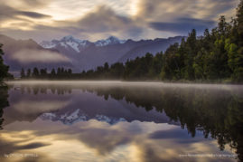 Crystal_Brindle_FNP_9