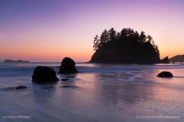 Jacqueline_Deely_FNP_4