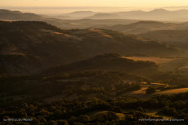 Kristel_Schneider_FNP_1