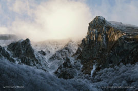 Kristel_Schneider_FNP_2