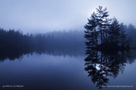 Kristel_Schneider_FNP_9