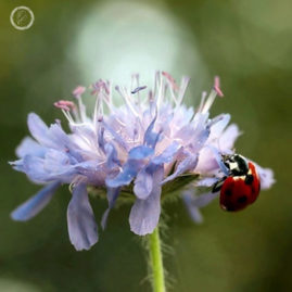 Portfolio carousel 17