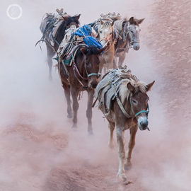 Portfolio carousel 20 FNP