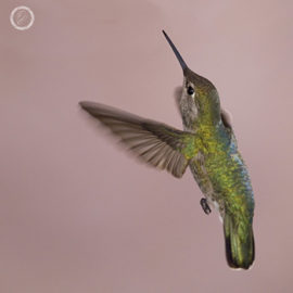 Portfolio carousel 23