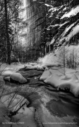 Susan_Cullumber_FNP_13