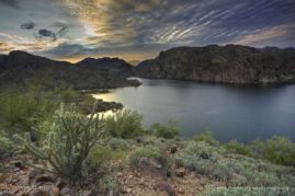 Susan_Cullumber_FNP_5