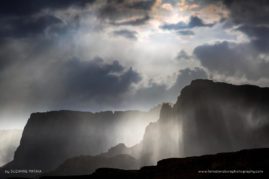 Suzanne_Mathia_FNP_5