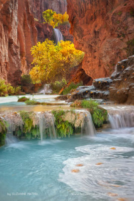 Suzanne_Mathia_FNP_9