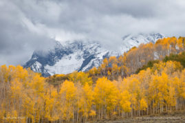 Valerie_Millett_FNP_2