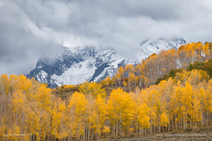 Valerie_Millett_FNP_2