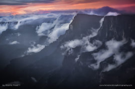 Valerie_Millett_FNP_5