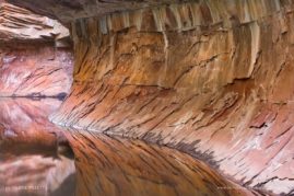 Valerie_Millett_FNP_6