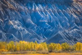 Valerie_Millett_FNP_8