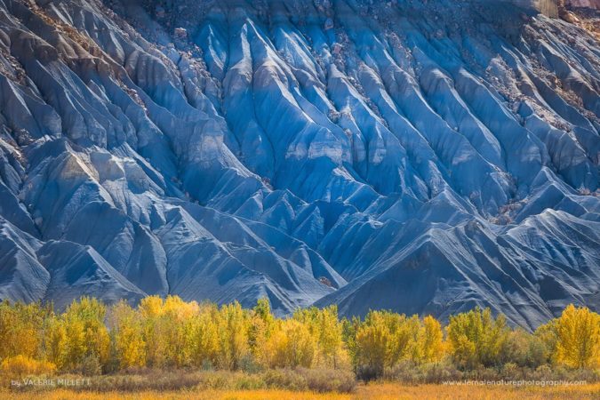 Valerie_Millett_FNP_8