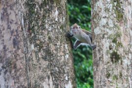 Anette_Mossbacher_FNP_10