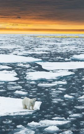 Anette_Mossbacher_FNP_14