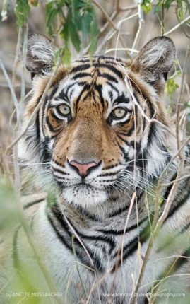 Anette_Mossbacher_FNP_15