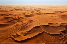 Anette_Mossbacher_FNP_4