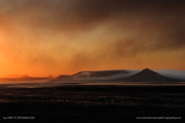 Anette_Mossbacher_FNP_9