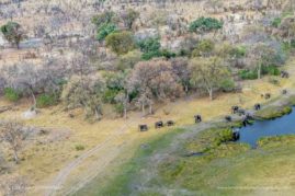 Beena_Balasubramaniam_FNP_11