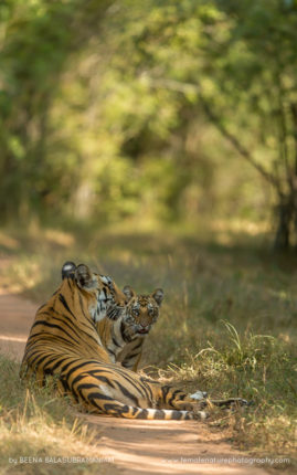 Beena_Balasubramaniam_FNP_15