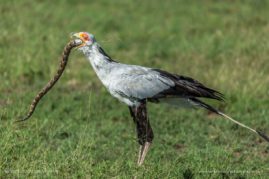 Beena_Balasubramaniam_FNP_4