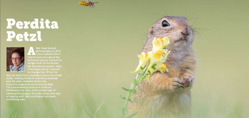 FNP Winner WP issue 26