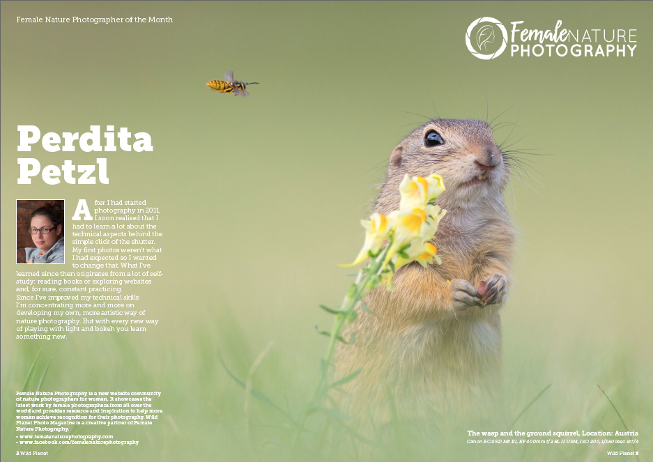 FNP Winner WP issue 26