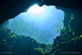 Jennifer_Adler_FNP_9