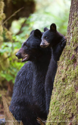 Lorraine_Logan_FNP_12