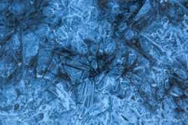 Nathalie_Houdin_FNP_1