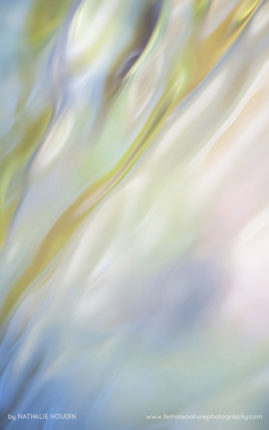 Nathalie_Houdin_FNP_14